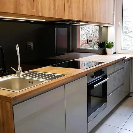 Apartament Dolina Trzech Stawow #darmowe Pozne Wymeldowanie Do 14# * Katowice